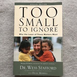 🧊 Too Small To Ignore